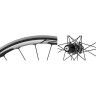 Спицы SHIMANO WH-MT66-R12/R29, задние (306 мм X 28 штук), ниппеля (28 штук) EWHSPOKE3BB1